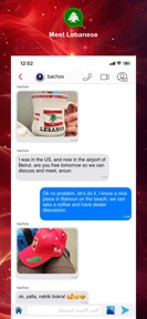 Meet Lebanese - Dating Lebanon screenshot