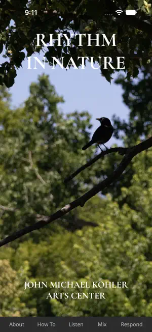 Rhythm In Nature screenshot 1