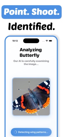 Butterfly Identifier - Paply iPhone screenshot