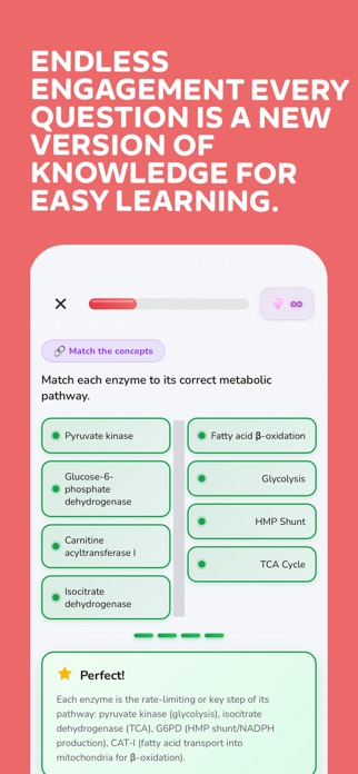MedSteps - Fun Med Learning Screenshot 5 of 7