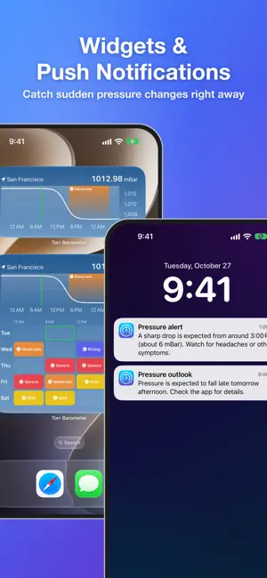 Torr: Barometer Altimeter screenshot 3