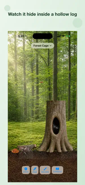 My Bug Album screenshot 4