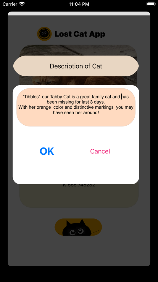 #9. Lost Cat App (iOS) 由: Feargal Tobin