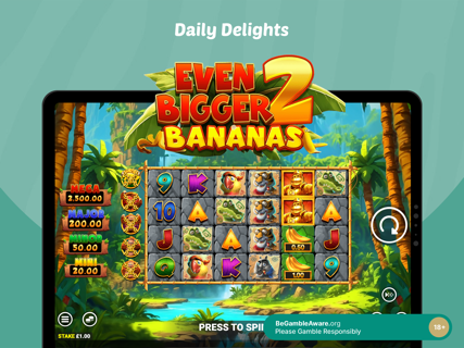 Zebra Bingo - Online Casino screenshot 12