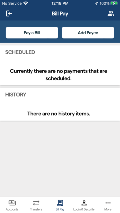 Llano Nat'l/Hill Country Bank Screenshot