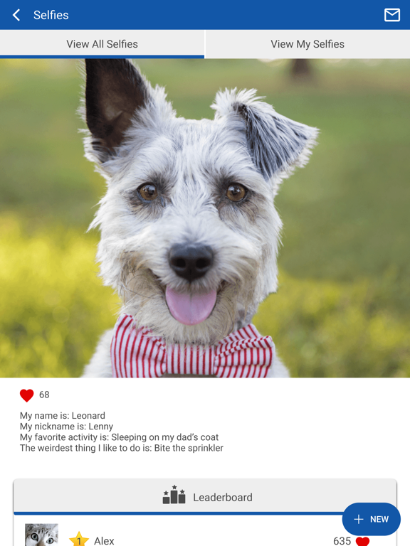 All Creatures Arlington iPad screenshot 4 - Business app