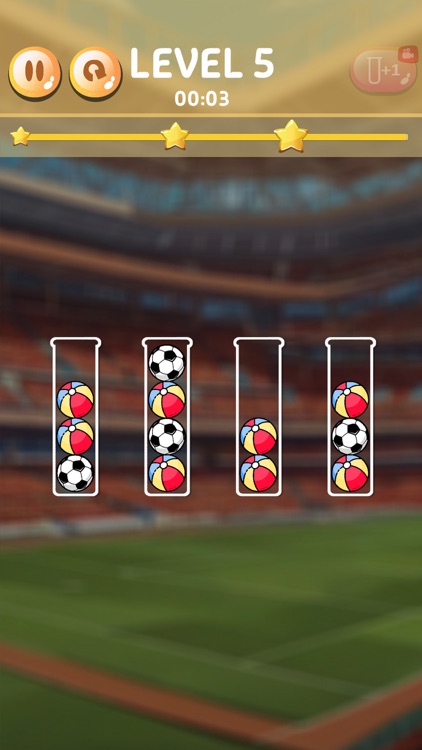 Sport Color Sort Puzzle