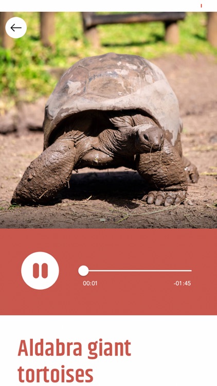 Chamarel 7 Coloured Earth