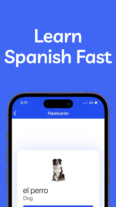 Learn Spanish: For Beginners Screenshot