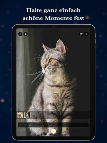 Memora iPad screenshot