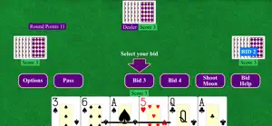Pitch Card Game screenshot 1