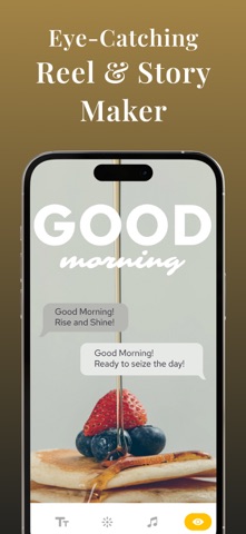 Story Maker & Reels Maker iPhone screenshot