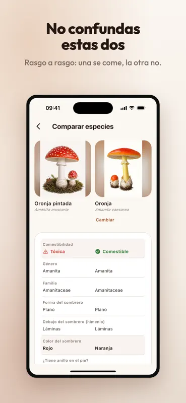MicoAtlas - Guía de Setas screenshot 3 of 8