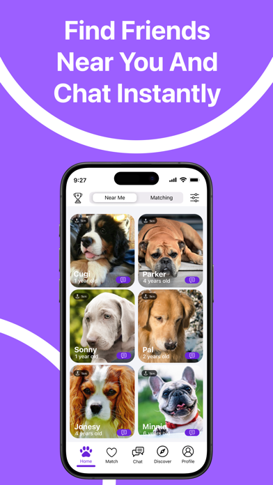 Pawmates: The Pet Social Media Screenshot