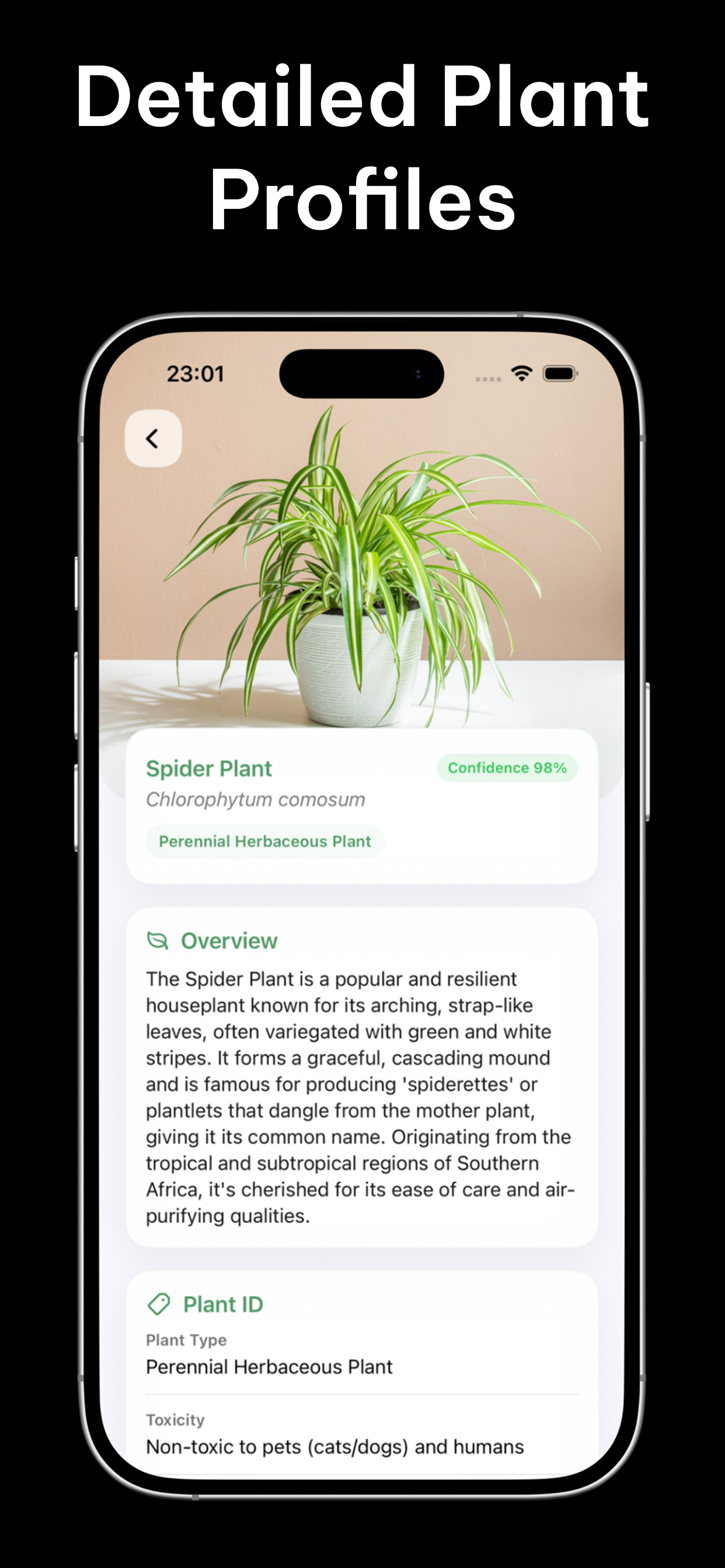 Plant Identifier: ID & Care