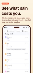 Pain Tracker - Palina screenshot