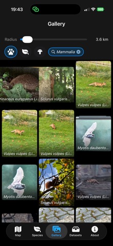 GBIF Nearby Screenshot 6 of 10