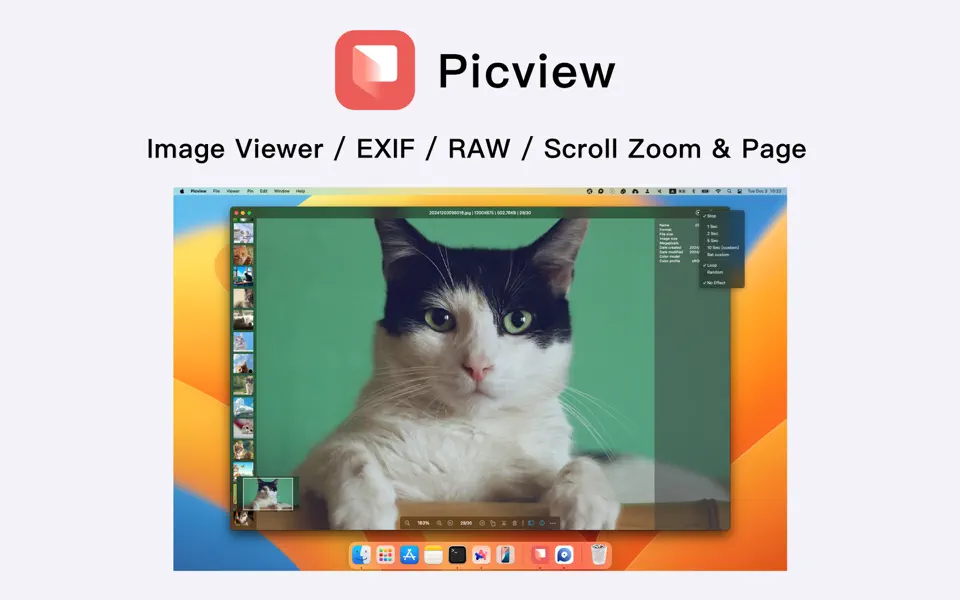 Screenshot 1 of Picview – Image Viewer