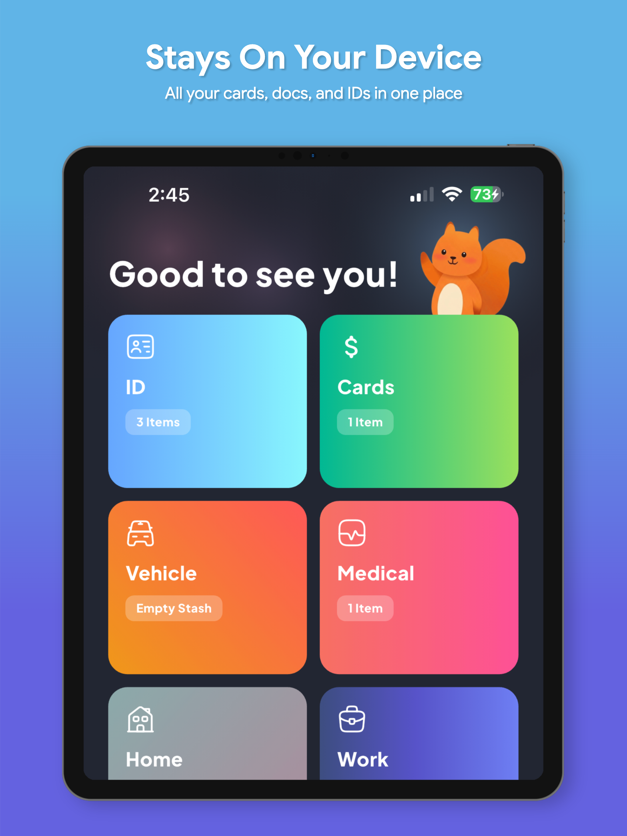 SafePlus - Local Vault screenshot 6