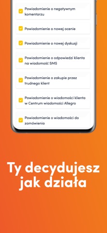 AleAsystent.pl screenshot
