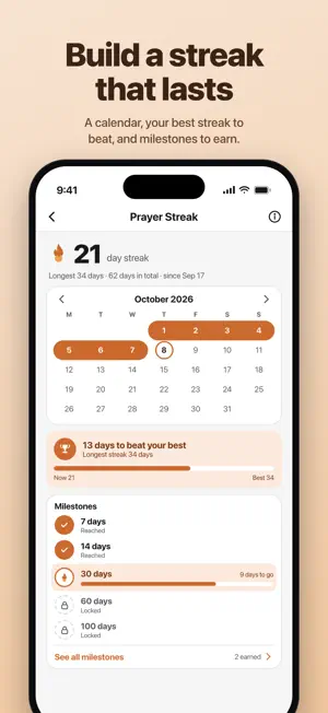 Deenflow screenshot 3