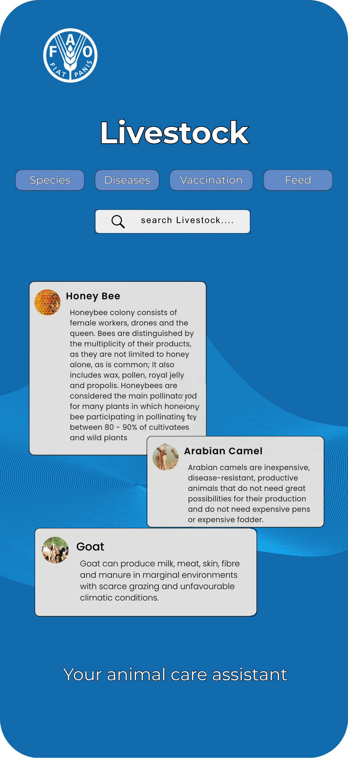 FAO Digital Services Portfolio