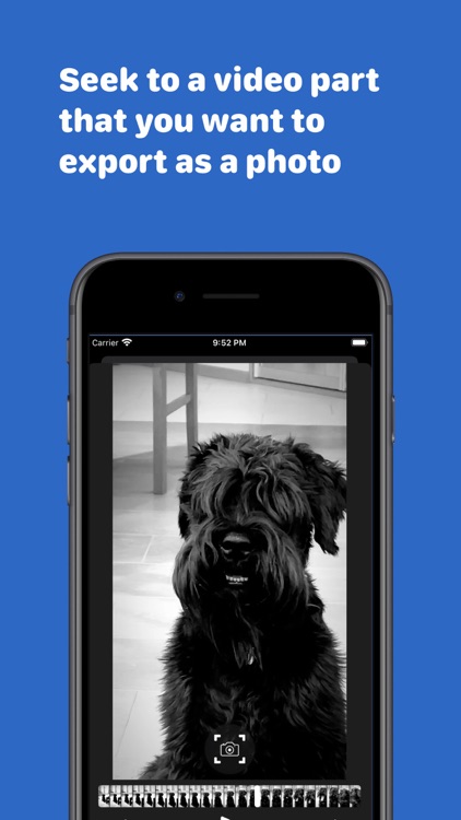 FrameShot - Video to Photo