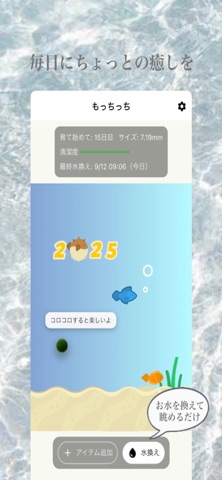 まりもっち | マリモ育成アプリ のスクリーンショット