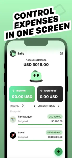 Wally: Simple Budget Tracker screenshot 4