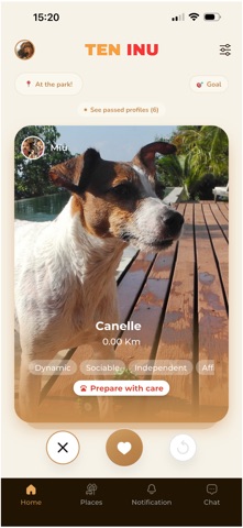 TEN INU Screenshot 2 of 6