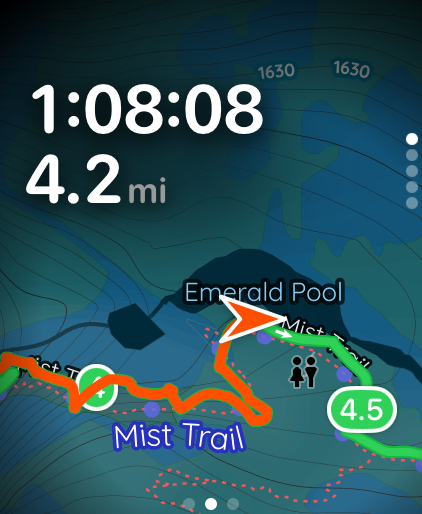 Pedometer++ screenshot 11