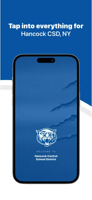 Hancock CSD, NY screenshot 1