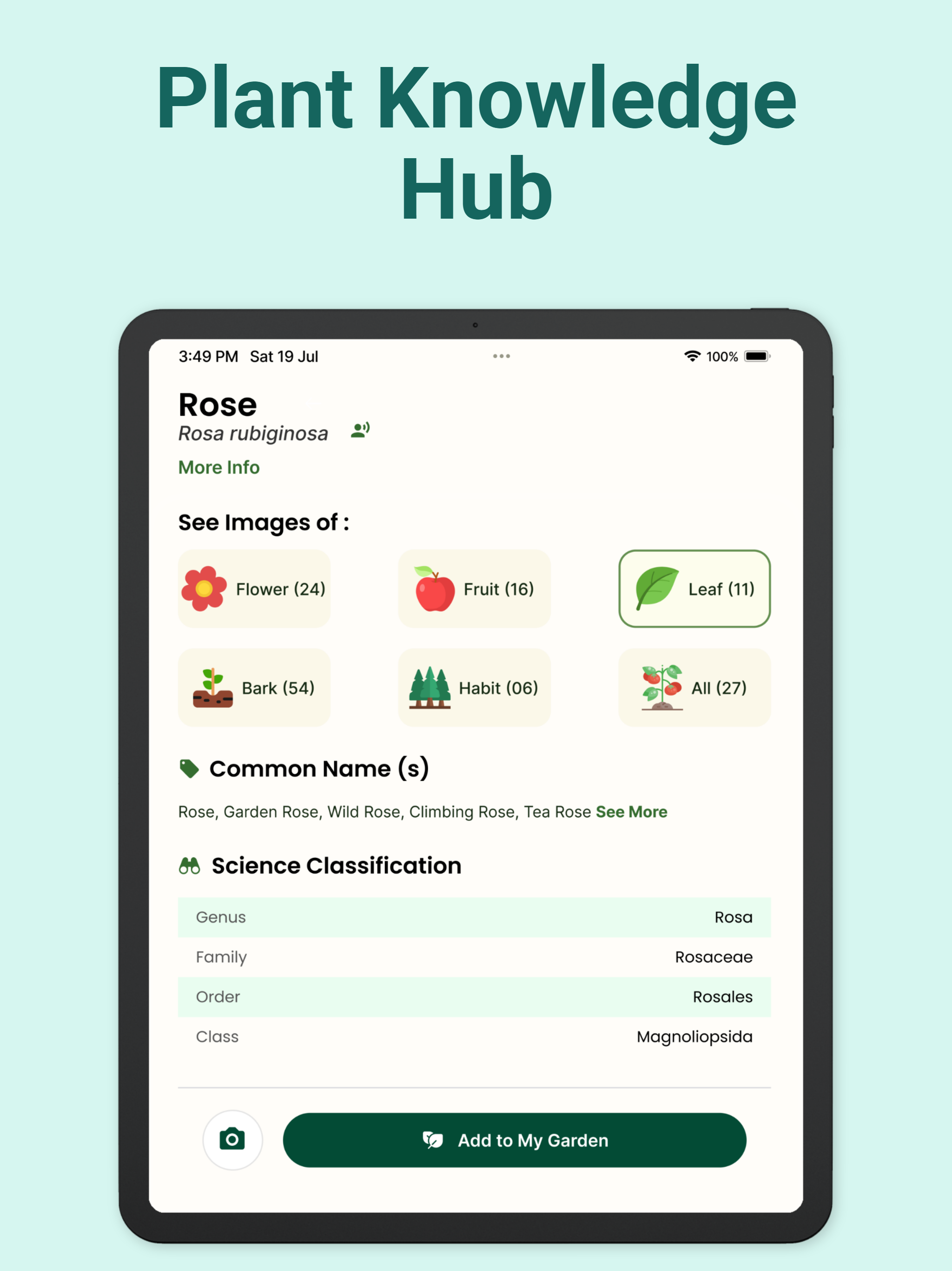 AI Plant Identifier: Care App