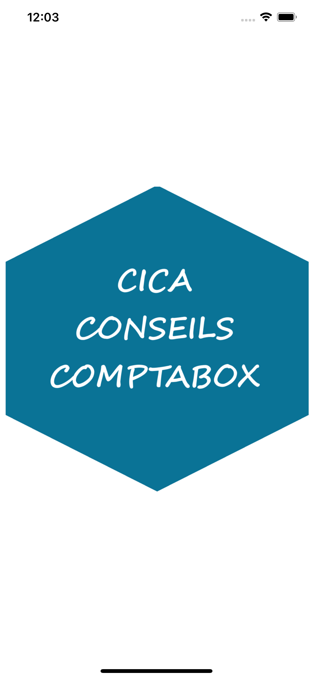 CICA CONSEILS