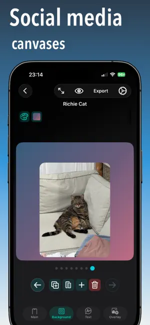 Screen Shot App: ScreenCraft iPhone screenshot 2