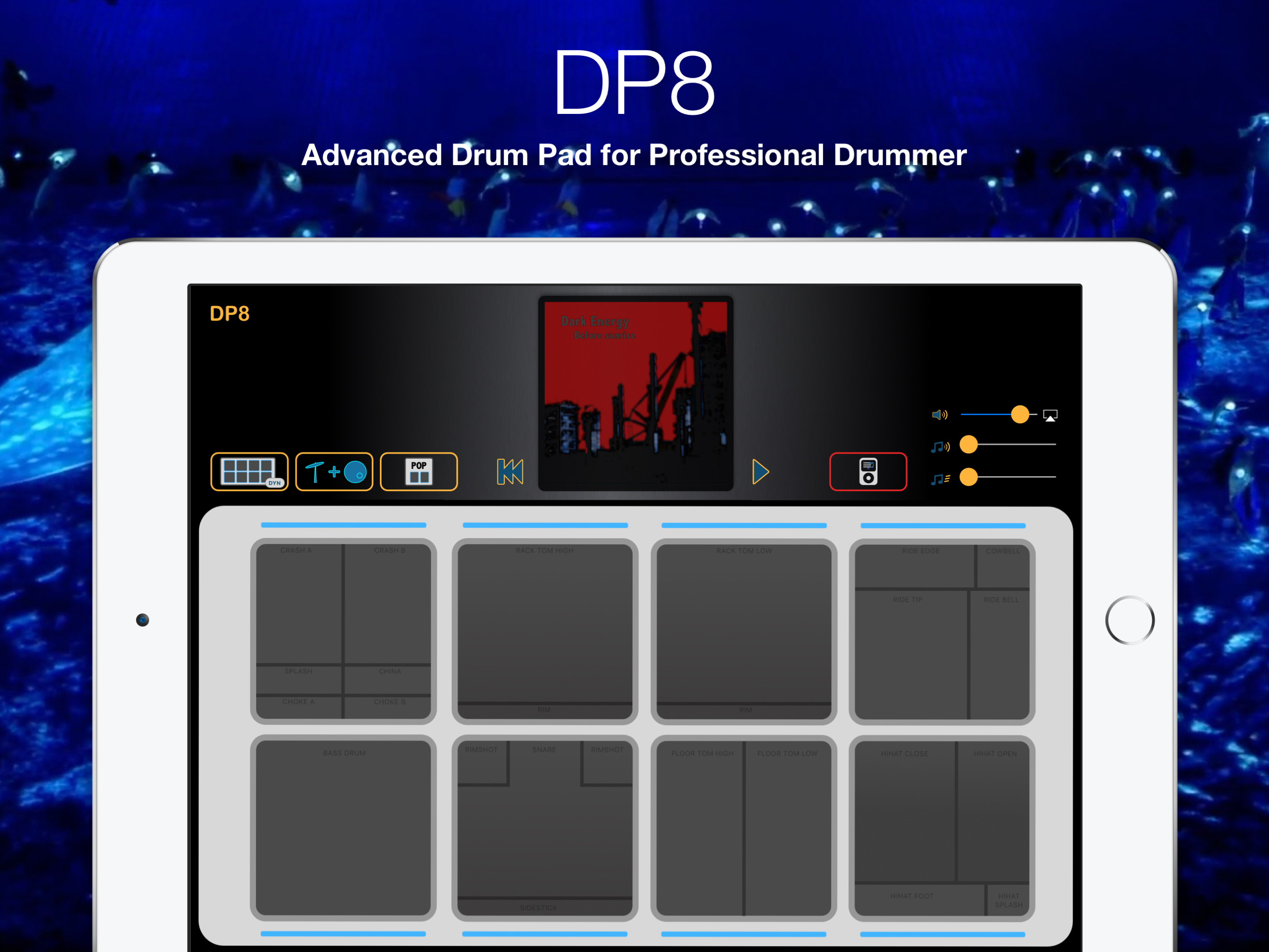 DP8