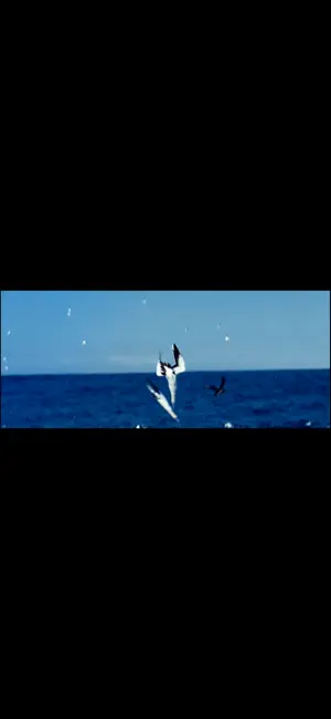 MaxButton screenshot 1