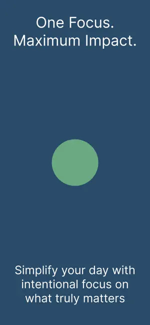 Singular Focus screenshot 1