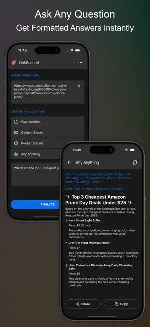 LinkScan: AI website scanner screenshot 4