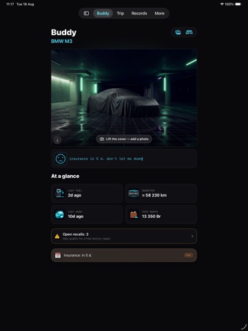Car Dashboard Widget - PIT24 iPad screenshot