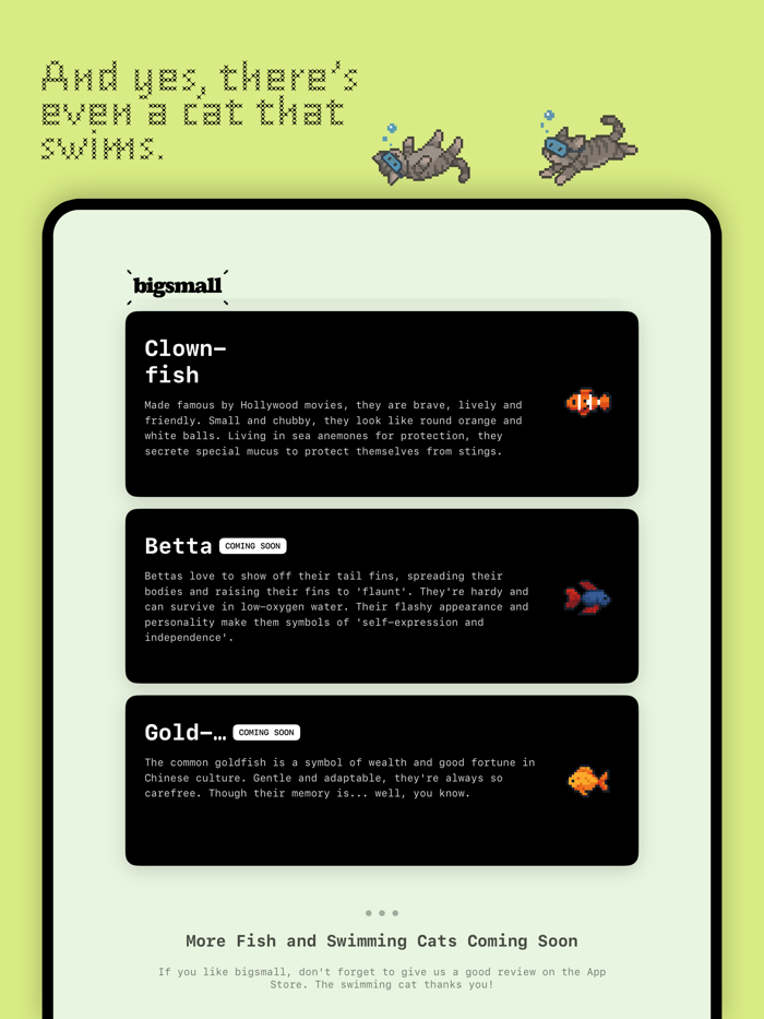 bigsmall - Fish. Cat. Widget.