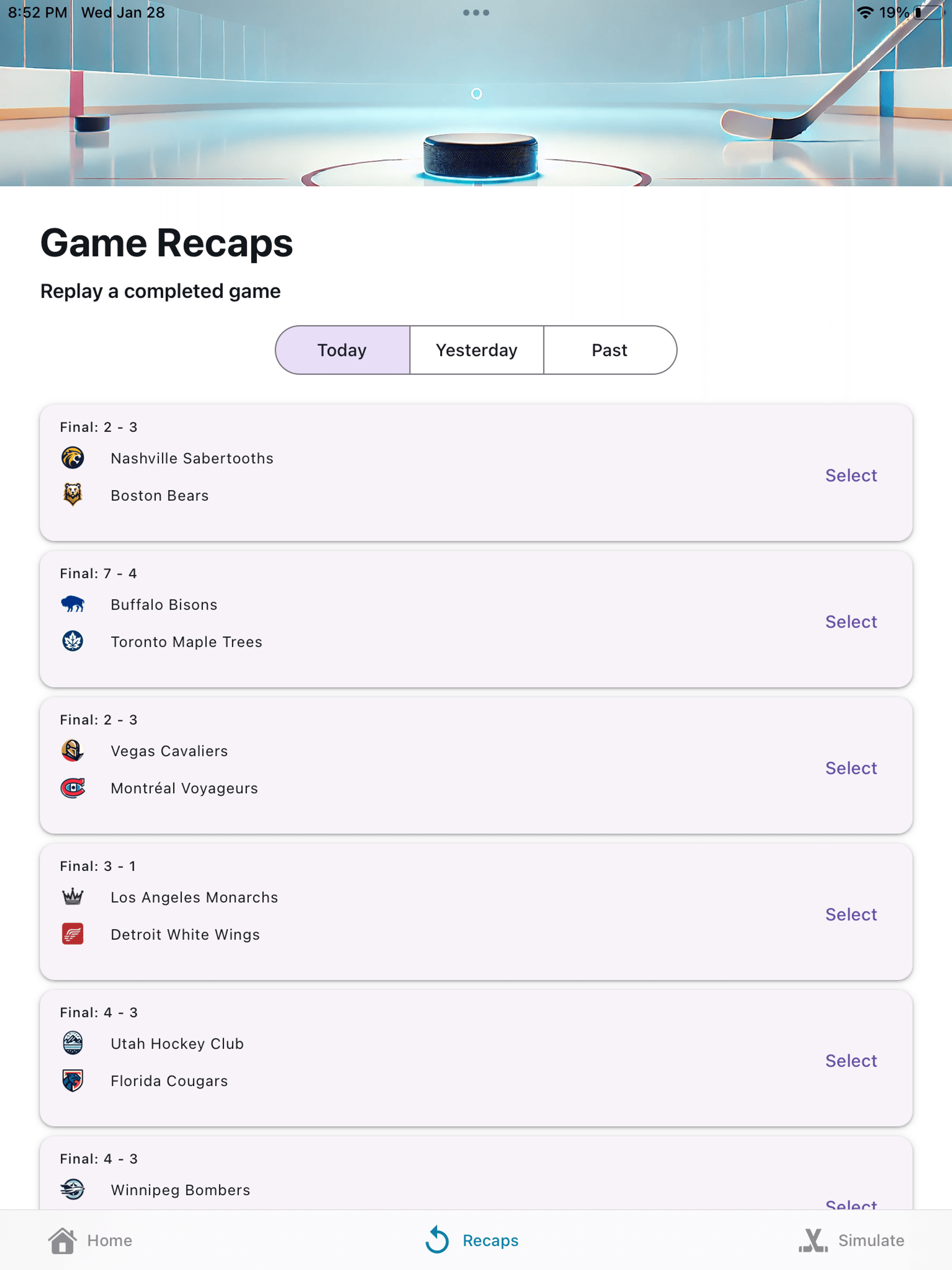 Pro Hockey Sim