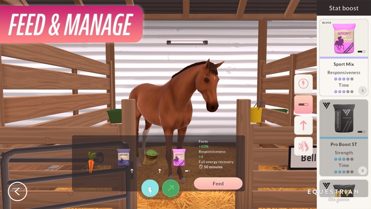 Equestrian the Game screenshot-3