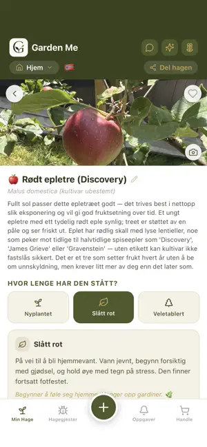 Garden Me screenshot 4