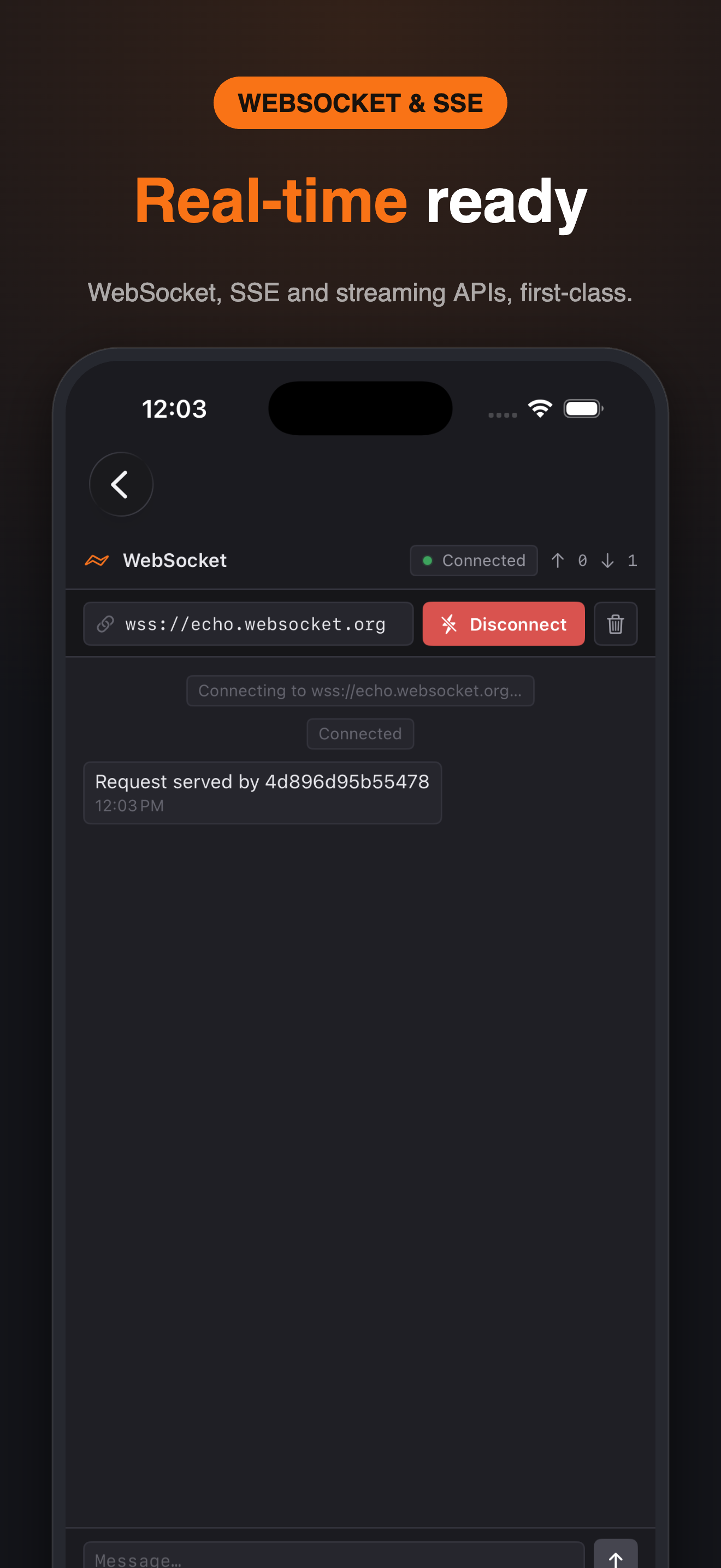 PostX - Rest API Client screenshot 4