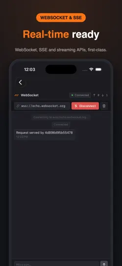Postmon - Rest API Client iPhone Ekran Görüntüsü 4