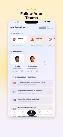 Ball Sayar screenshot