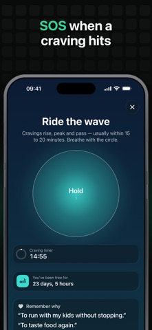 Evergrid: Sober Habit Tracker Screenshot 5 of 5