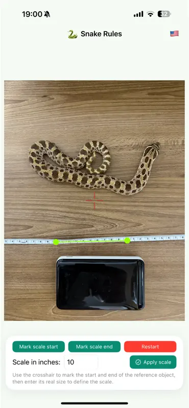 Snake Rules screenshot 4 of 8