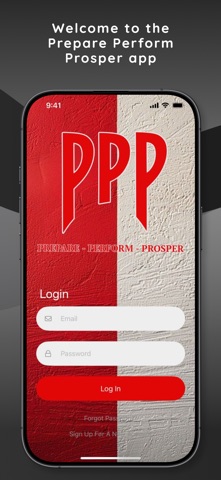 P3Performance screenshot